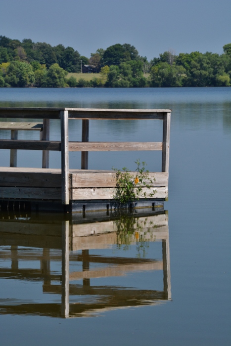 Fox Lake 